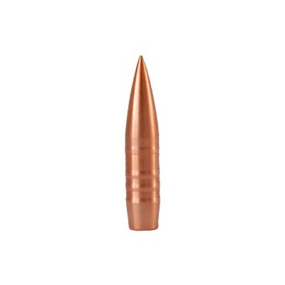 Punta 7mm 160gr Longe Range (50u) Hasler 
