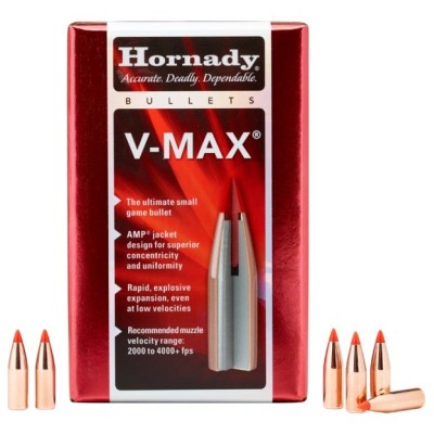Punta 6mm 75gr HP Hornady