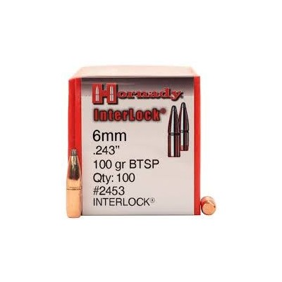 Punta 6mm 100gr BTSP Interlock Hornady