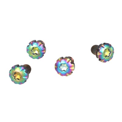 Tornillos cacha (4u) titanio Bul 