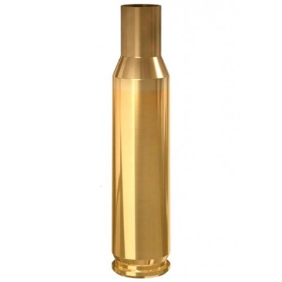 Vaina 300 Win Mg  Prvi