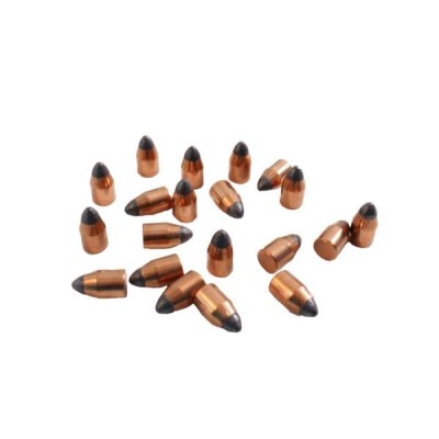 Sabot con bola 45 180gr TRADITIONS