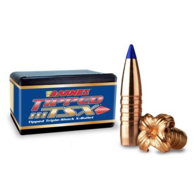Punta 9,3 mm 250gr TTSX BT BARNES